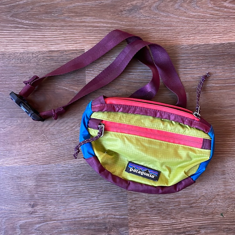 Patagonia fanny/hip pack